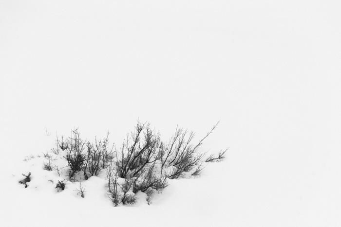 freddy briones parra nieve 02